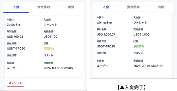 USDTでの入金情報を確認する操作画面